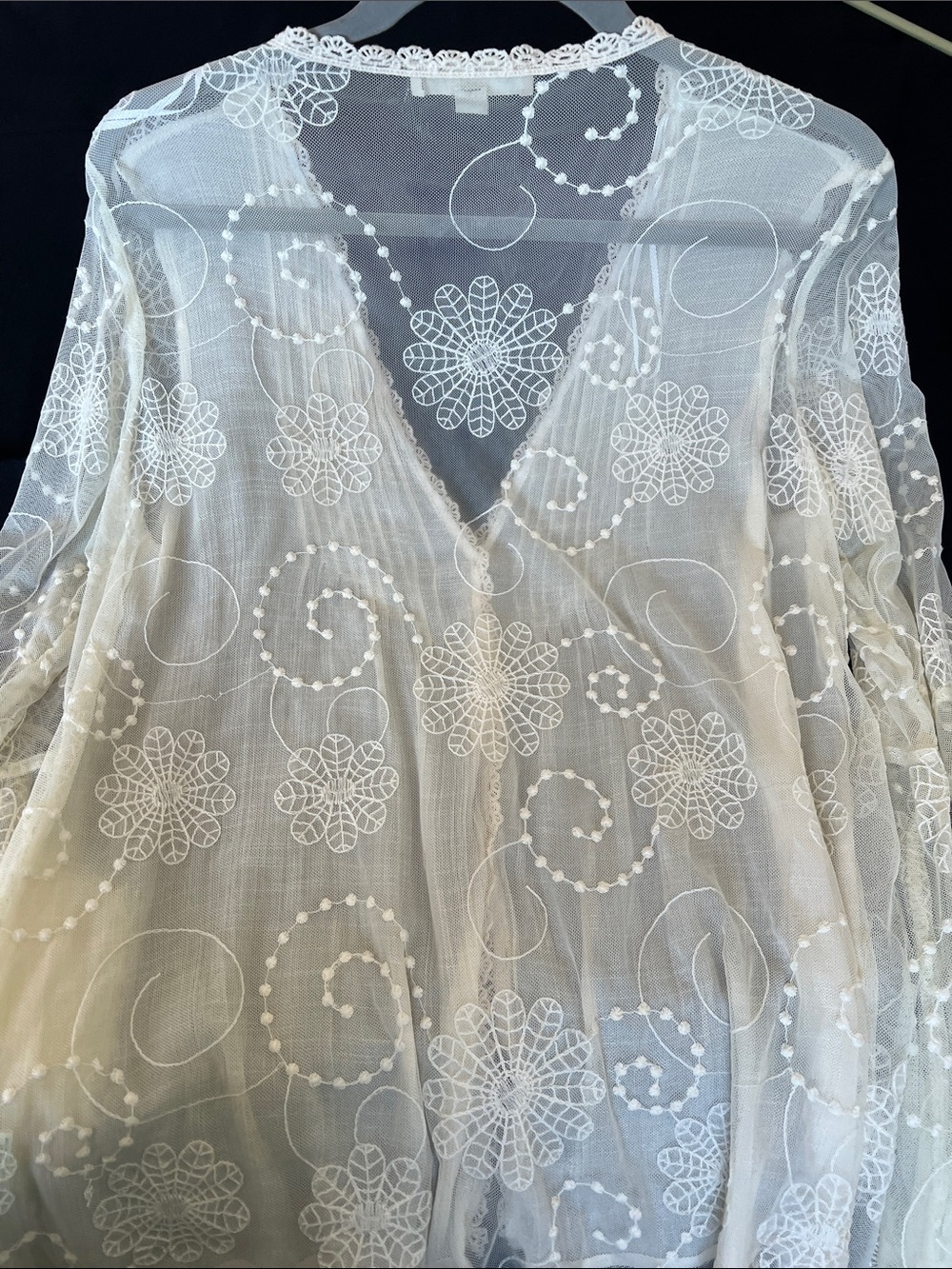 Lovestitch Sheer Lace-Trim Top in Ivory w/ bell sleeves - Picture 2 of 15
